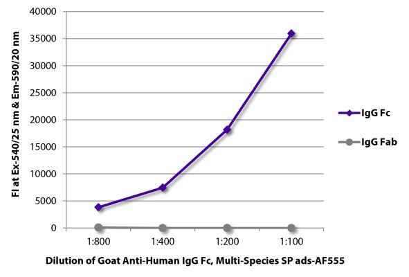 Abbildung: Ziege IgG anti-Human IgG (Fc)-Alexa Fluor 555, MinX Rb,Ms,Rt,Bo,Ho,Ha,Go,Sh,Ck,Gp