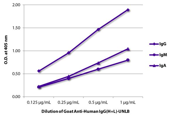 Abbildung: Ziege IgG anti-Human IgG (H+L)-unkonj., MinX keine