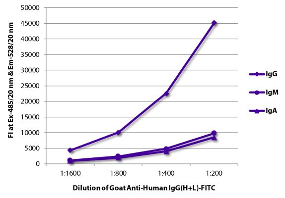 Abbildung: Ziege IgG anti-Human IgG (H+L)-FITC, MinX keine