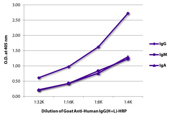 Abbildung: Ziege IgG anti-Human IgG (H+L)-HRPO, MinX keine