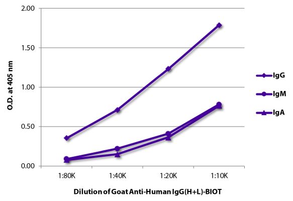 Image: Goat IgG anti-Human IgG (H+L)-Biotin, MinX none