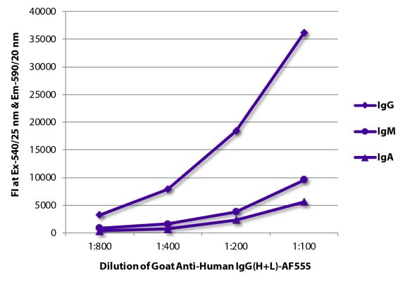 Abbildung: Ziege IgG anti-Human IgG (H+L)-Alexa Fluor 555, MinX keine