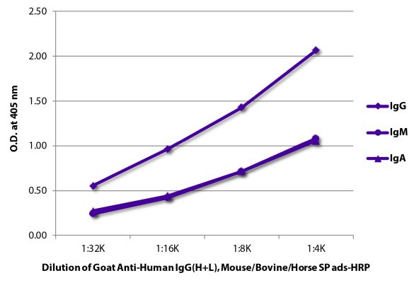 Abbildung: Ziege IgG anti-Human IgG (H+L)-HRPO, MinX Ms,Bo,Ho