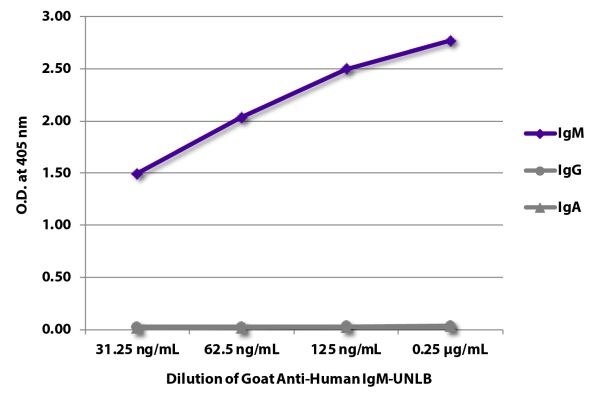 Abbildung: Ziege IgG anti-Human IgM (µ)-unkonj., MinX keine