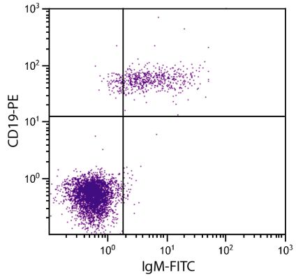 Abbildung: Ziege IgG anti-Human IgM (µ)-FITC, MinX keine
