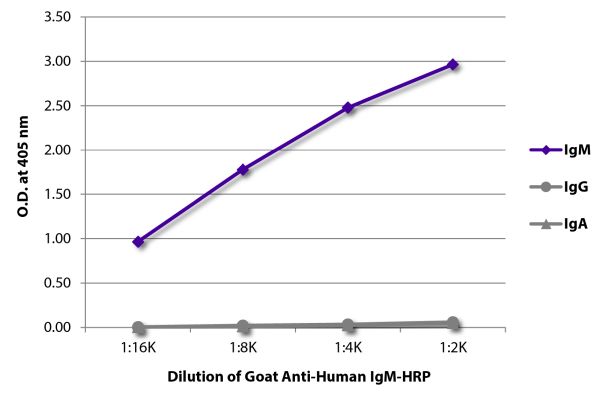 Abbildung: Ziege IgG anti-Human IgM (µ)-HRPO, MinX keine
