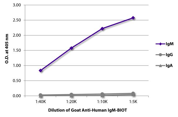 Abbildung: Ziege IgG anti-Human IgM (µ)-Biotin, MinX keine