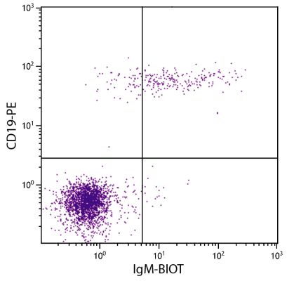 Abbildung: Ziege IgG anti-Human IgM (µ)-Biotin, MinX keine