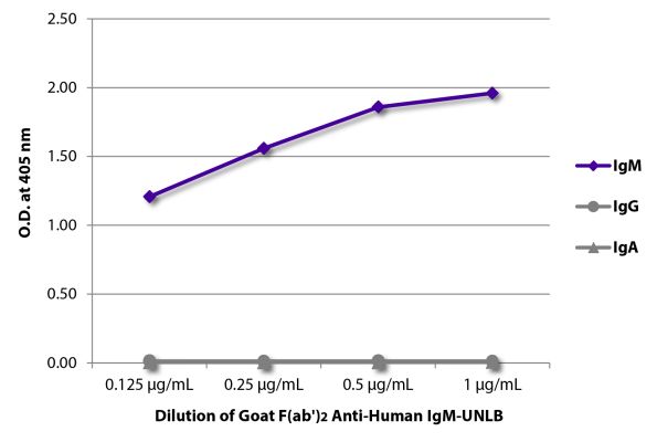 Abbildung: Ziege F(ab')2 anti-Human IgM (µ)-unkonj., MinX keine