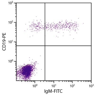 Abbildung: Ziege F(ab')2 anti-Human IgM (µ)-FITC, MinX keine