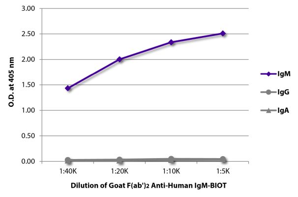 Abbildung: Ziege F(ab')2 anti-Human IgM (µ)-Biotin, MinX keine