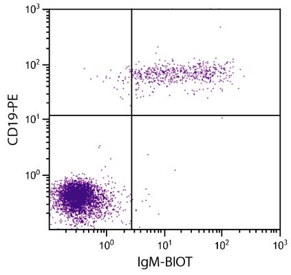 Abbildung: Ziege F(ab')2 anti-Human IgM (µ)-Biotin, MinX keine