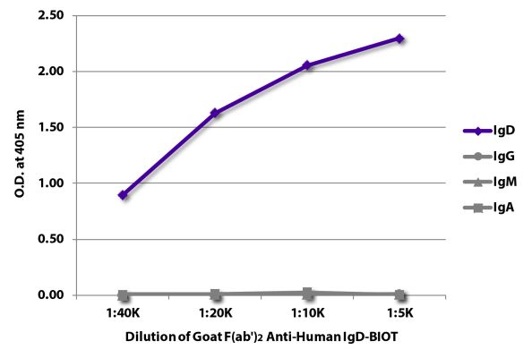 Abbildung: Ziege F(ab')2 anti-Human IgD-Biotin, MinX keine