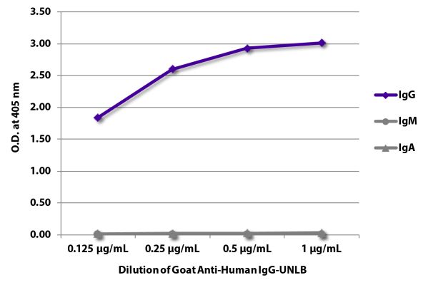 Abbildung: Ziege IgG anti-Human IgG (Fc)-unkonj., MinX keine