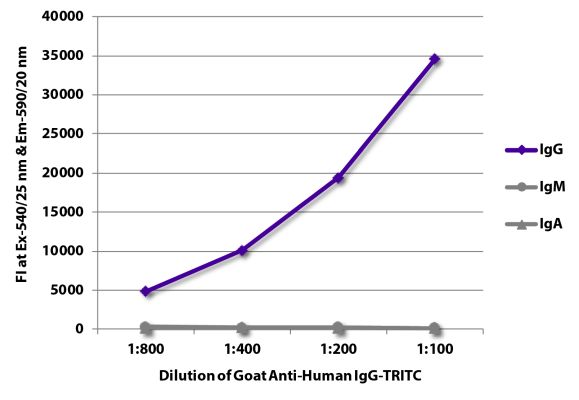 Abbildung: Ziege IgG anti-Human IgG (Fc)-TRITC, MinX keine