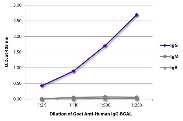 Image: Goat IgG anti-Human IgG (Fc)-BGAL, MinX none