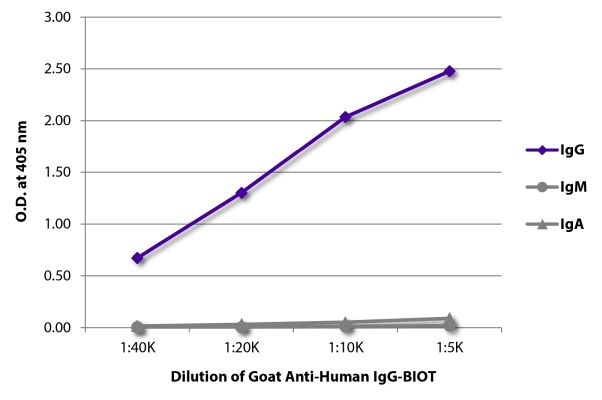 Abbildung: Ziege IgG anti-Human IgG (Fc)-Biotin, MinX keine