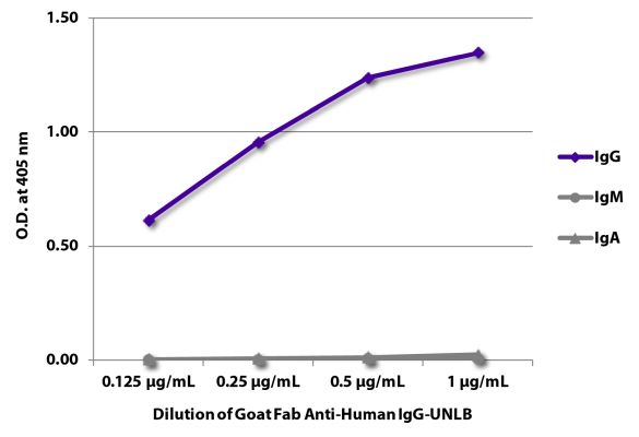 Abbildung: Ziege IgG anti-Human IgG (Fc)-unkonj., MinX keine