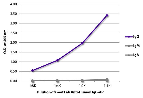 Abbildung: Ziege IgG anti-Human IgG (Fc)-Alk. Phos., MinX keine