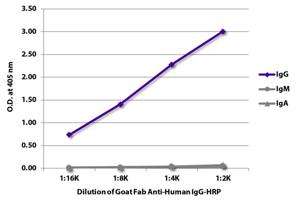 Abbildung: Ziege IgG anti-Human IgG (Fc)-HRPO, MinX keine