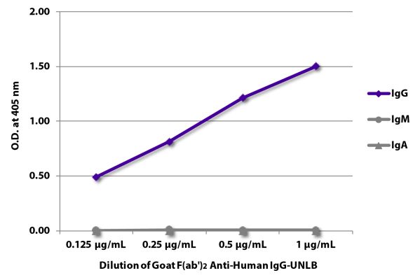 Abbildung: Ziege F(ab')2 anti-Human IgG (Fc)-unkonj., MinX keine
