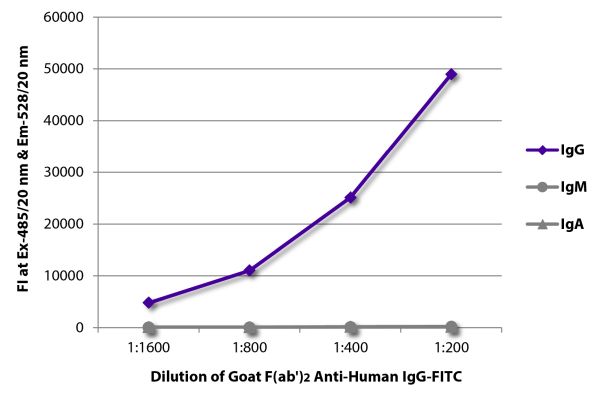 Abbildung: Ziege F(ab')2 anti-Human IgG (Fc)-FITC, MinX keine