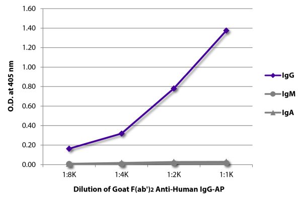 Abbildung: Ziege F(ab')2 anti-Human IgG (Fc)-Alk. Phos., MinX keine
