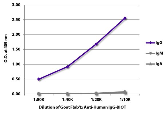 Abbildung: Ziege F(ab')2 anti-Human IgG (Fc)-Biotin, MinX keine