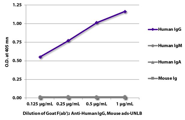 Abbildung: Ziege F(ab')2 anti-Human IgG (Fc)-unkonj., MinX Ms