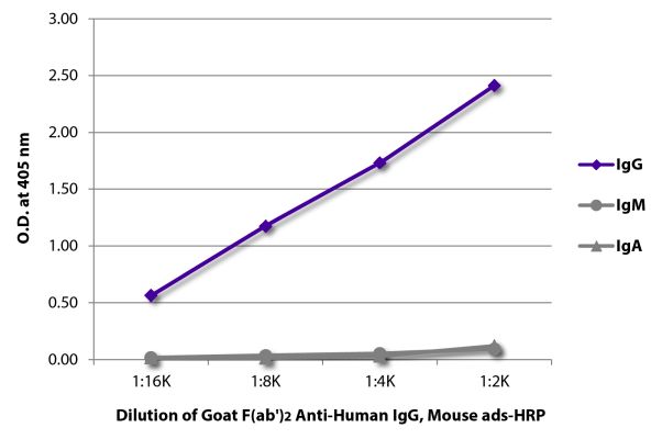 Abbildung: Ziege F(ab')2 anti-Human IgG (Fc)-HRPO, MinX Ms