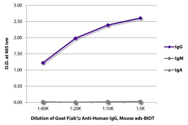 Abbildung: Ziege F(ab')2 anti-Human IgG (Fc)-Biotin, MinX Ms