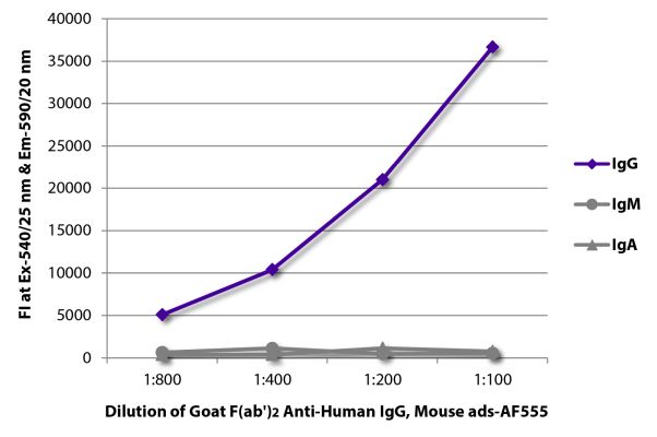 Abbildung: Ziege F(ab')2 anti-Human IgG (Fc)-Alexa Fluor 555, MinX Ms