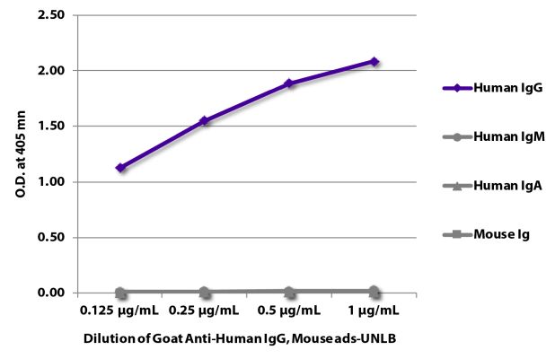 Image: Goat IgG anti-Human IgG (Fc)-unconj., MinX Ms