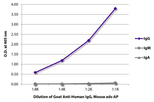 Abbildung: Ziege IgG anti-Human IgG (Fc)-Alk. Phos., MinX Ms