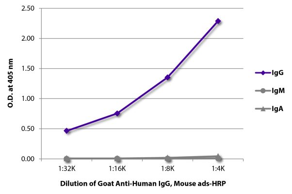 Abbildung: Ziege IgG anti-Human IgG (Fc)-HRPO, MinX Ms