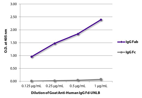 Abbildung: Ziege IgG anti-Human IgG (Fd)-unkonj., MinX keine