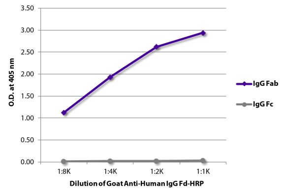 Abbildung: Ziege IgG anti-Human IgG (Fd)-HRPO, MinX keine