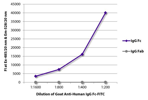 Abbildung: Ziege IgG anti-Human IgG (Fc)-FITC, MinX keine