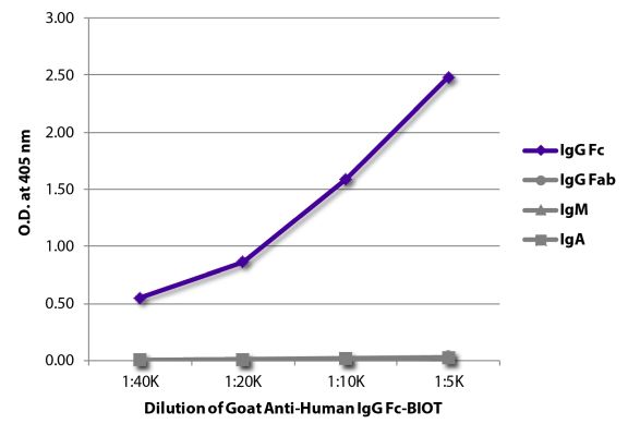 Abbildung: Ziege IgG anti-Human IgG (Fc)-Biotin, MinX keine