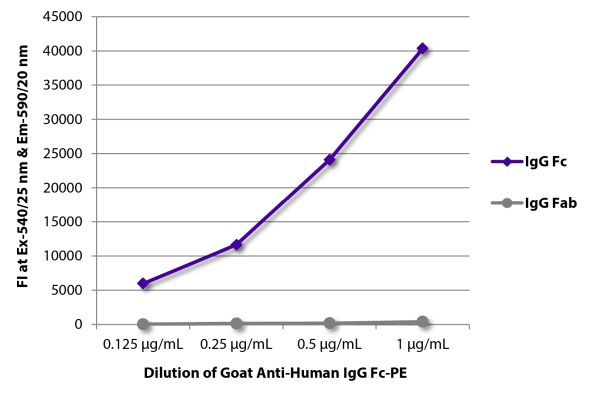 Image: Goat IgG anti-Human IgG (Fc)-RPE, MinX none