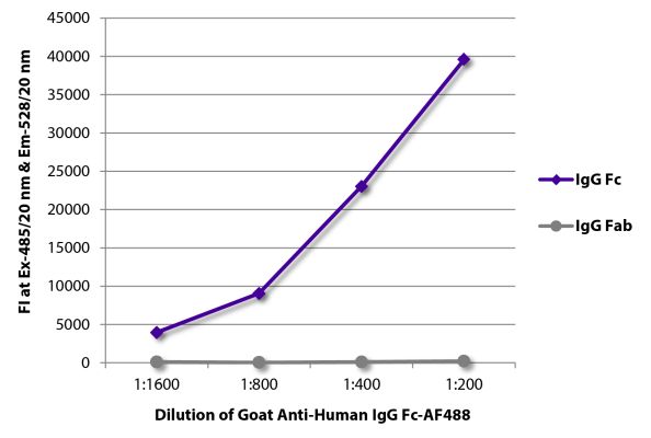 Abbildung: Ziege IgG anti-Human IgG (Fc)-Alexa Fluor 488, MinX keine