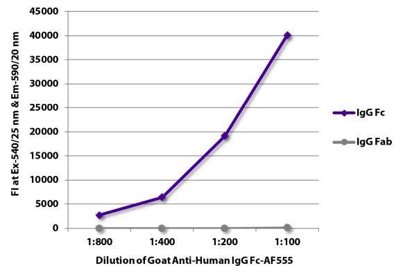 Image: Goat IgG anti-Human IgG (Fc)-Alexa Fluor 555, MinX none