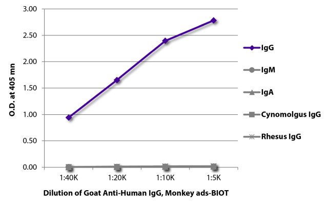Abbildung: Ziege IgG anti-Human IgG (Fc)-Biotin, MinX Mo