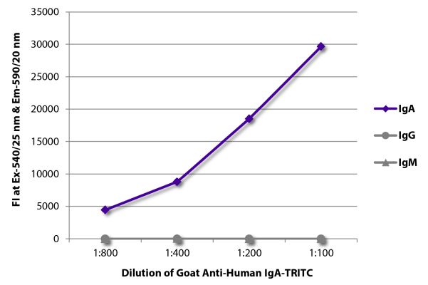 Abbildung: Ziege IgG anti-Human IgA-TRITC, MinX keine