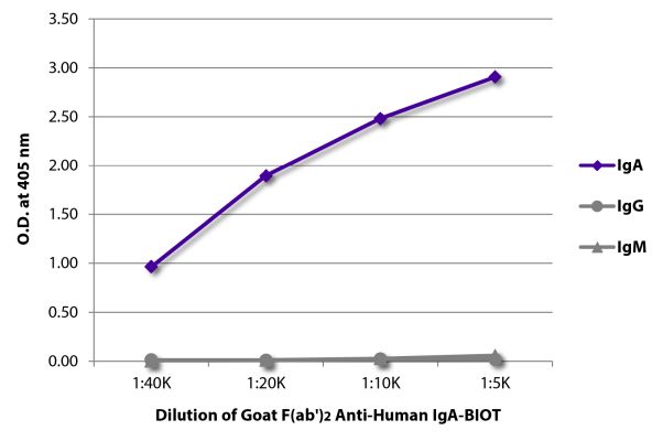 Abbildung: Ziege F(ab')2 anti-Human IgA-Biotin, MinX keine
