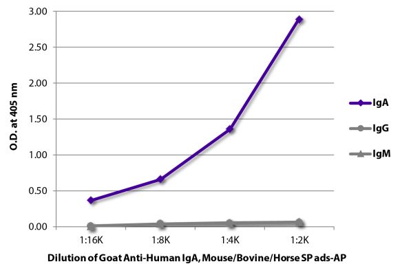 Abbildung: Ziege IgG anti-Human IgA-Alk. Phos., MinX Ms,Bo,Ho