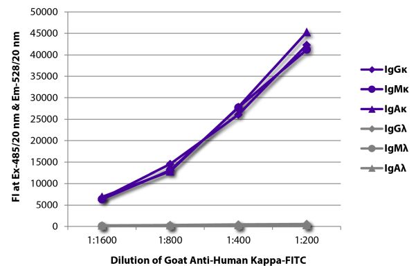 Abbildung: Ziege IgG anti-Human Kappa (leichte Kette)-FITC, MinX keine