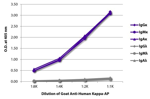 Abbildung: Ziege IgG anti-Human Kappa (leichte Kette)-Alk. Phos., MinX keine