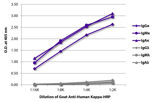 Abbildung: Ziege IgG anti-Human Kappa (leichte Kette)-HRPO, MinX keine