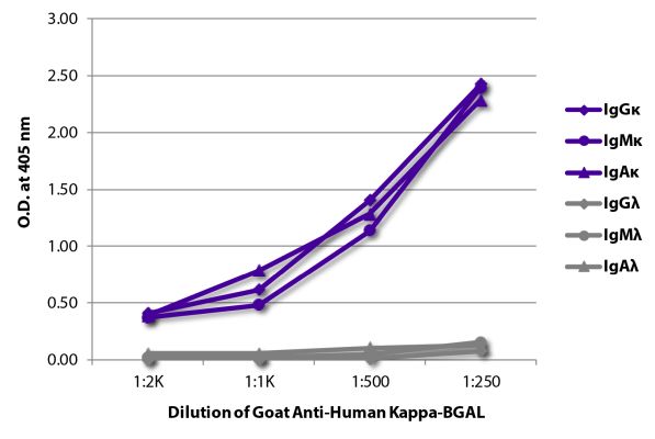 Image: Goat IgG anti-Human Kappa light chain-BGAL, MinX none